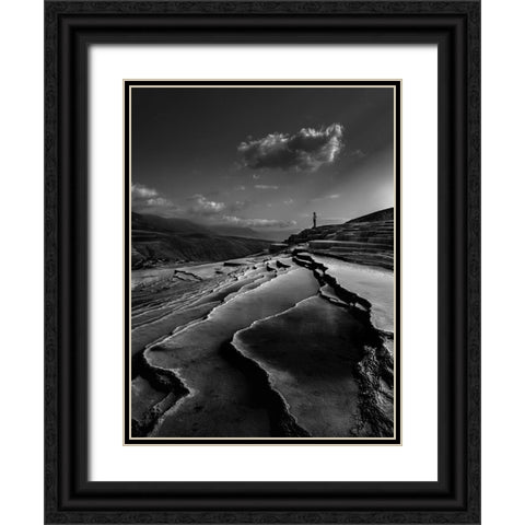 Lord Of Nature Black Ornate Wood Framed Art Print with Double Matting by Arabzadeh, Abbas