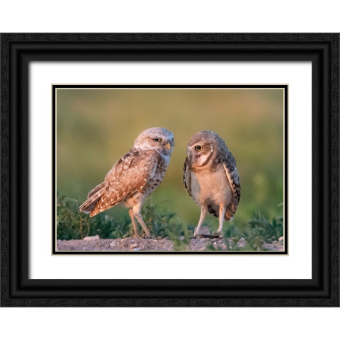 DaddyS Boy Black Ornate Wood Framed Art Print with Double Matting by Chen, Ming