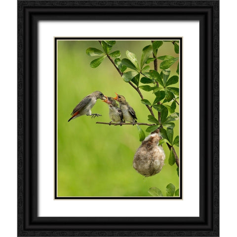 MotherS Love 2 Black Ornate Wood Framed Art Print with Double Matting by Muliani Hartojo, Angela