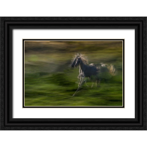 Galloping Black Ornate Wood Framed Art Print with Double Matting by Malovrh, Milan