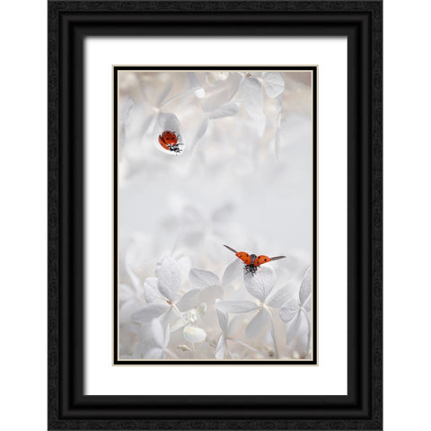 Ladybug Among Flowers Black Ornate Wood Framed Art Print with Double Matting by Jacobs, Lydia