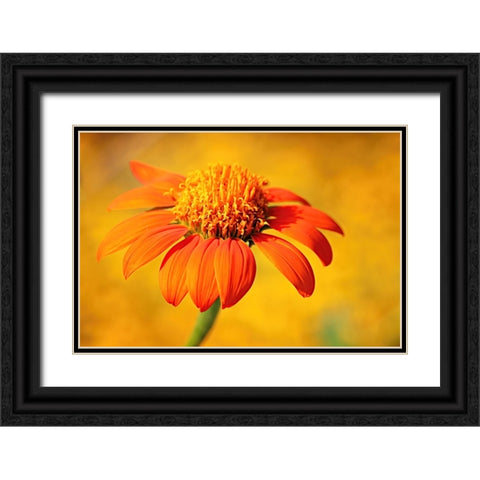 Orange Black Ornate Wood Framed Art Print with Double Matting by Bencic, Bojan