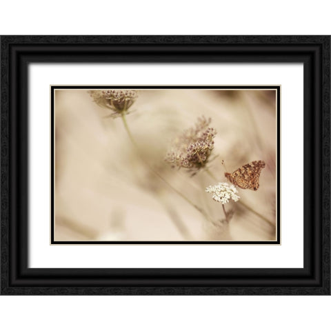 Butterfly Black Ornate Wood Framed Art Print with Double Matting by van Deelen, Ellen