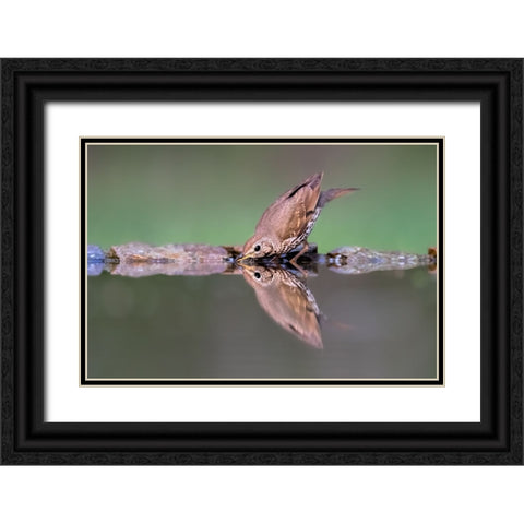 Drinking Black Ornate Wood Framed Art Print with Double Matting by Zuo, Jun