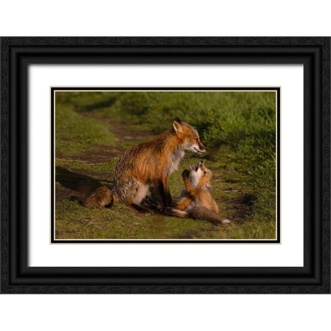 Mom Listen To Me Black Ornate Wood Framed Art Print with Double Matting by Donnahom