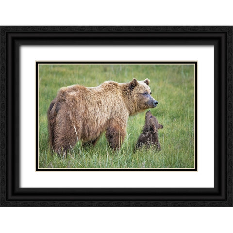 Bearable Adoration Black Ornate Wood Framed Art Print with Double Matting by C. Sink, Jeffrey