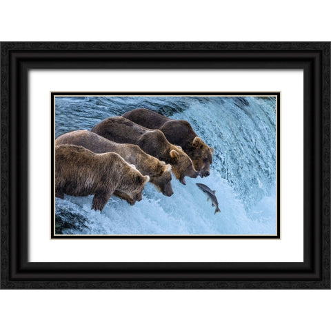 No Chance For Salmon Run Black Ornate Wood Framed Art Print with Double Matting by Pingwei Pan, Joy