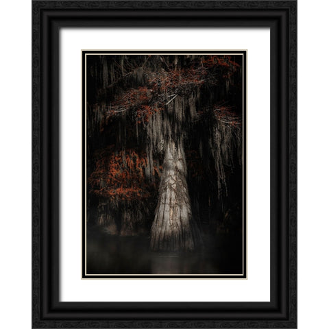 Cypress Tree Black Ornate Wood Framed Art Print with Double Matting by Lu, Linda