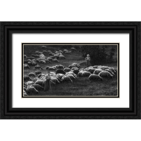 Bergers Black Ornate Wood Framed Art Print with Double Matting by Arabzadeh, Abbas