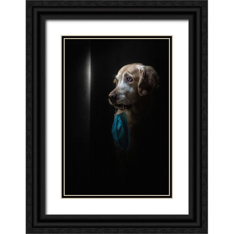 Stay Safe Black Ornate Wood Framed Art Print with Double Matting by Fidanza, Toni