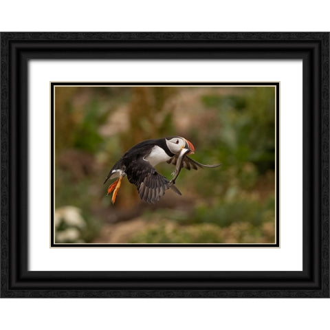 Return From Fishing Black Ornate Wood Framed Art Print with Double Matting by Xu, Tony