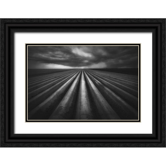 Perspective Image