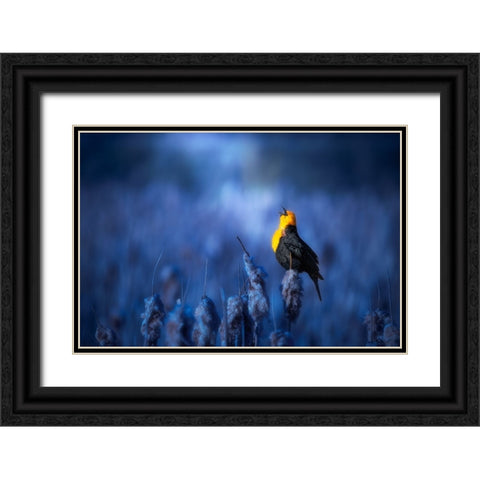 Sing A Song Black Ornate Wood Framed Art Print with Double Matting by Zhao, Alex