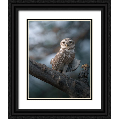 The Wise Of The Jungle Black Ornate Wood Framed Art Print with Double Matting by Rawat, Chaitanya