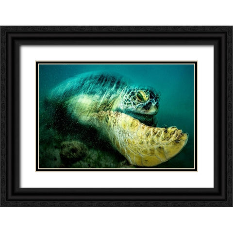 Agitation Black Ornate Wood Framed Art Print with Double Matting by Melesan, Serge