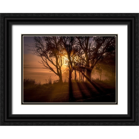 Sunrise Over Morning Mist Black Ornate Wood Framed Art Print with Double Matting by Ma, Frank