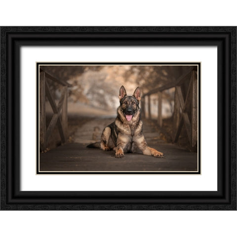 WhoS Ready For Autumn? Black Ornate Wood Framed Art Print with Double Matting by Kuplenk, Nika