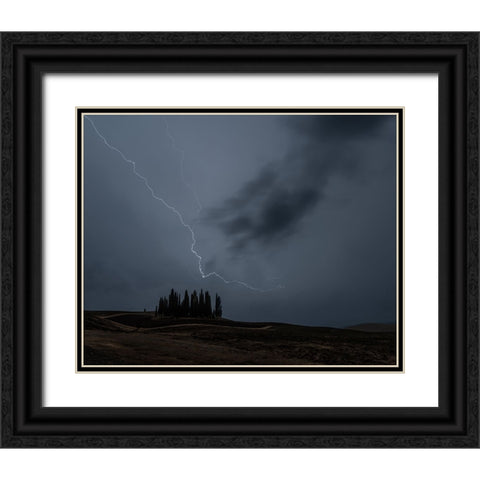 Cipressini Fulminati Black Ornate Wood Framed Art Print with Double Matting by Domenichi, Luca