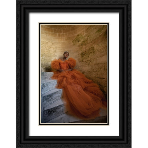 Beauty In Orange 1 Black Ornate Wood Framed Art Print with Double Matting by Dixon, Colin