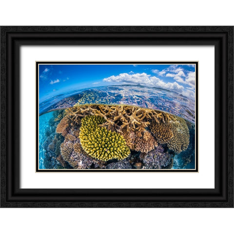 At Low Tide Black Ornate Wood Framed Art Print with Double Matting by Gabriel, Barathieu