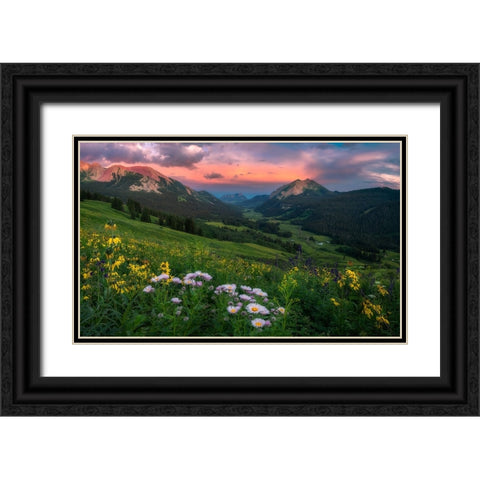 Blooming In The Valley Black Ornate Wood Framed Art Print with Double Matting by Xu, Mei