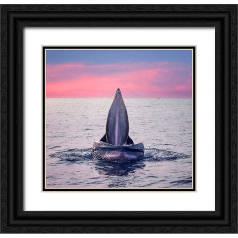 BrydeS Whale Jaws Black Ornate Wood Framed Art Print with Double Matting by Tan Tuan, Nguyen