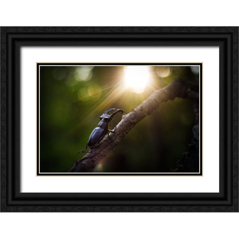 Way To The Sun Black Ornate Wood Framed Art Print with Double Matting by Bykanova, Victoria