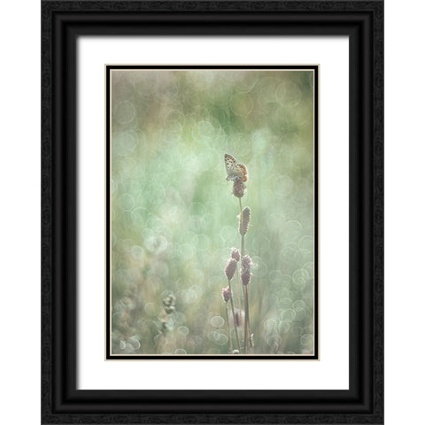 Bubbleliscious Black Ornate Wood Framed Art Print with Double Matting by Van Helden, Elisabeth