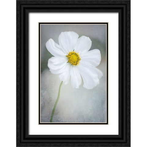 White Calliopsis Black Ornate Wood Framed Art Print with Double Matting by GaoSL