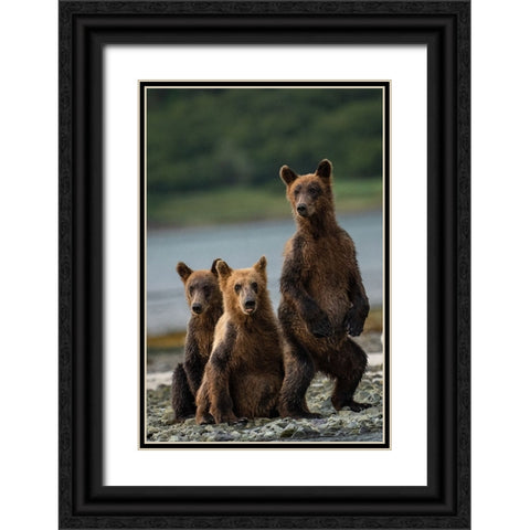 Do You Hear Something? Black Ornate Wood Framed Art Print with Double Matting by Gill, Barbara