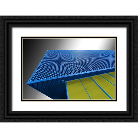 Other PerspectIVes Black Ornate Wood Framed Art Print with Double Matting by Domont, Jois