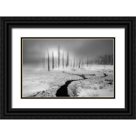 Winter Solstice Black Ornate Wood Framed Art Print with Double Matting by An, Anna