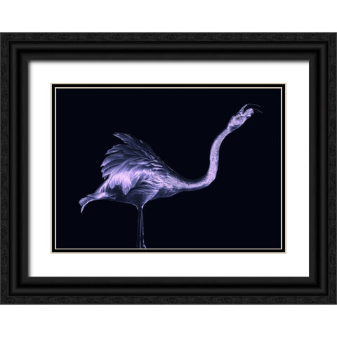 Silver Flamingo Black Ornate Wood Framed Art Print with Double Matting by Tsikiridis, Georgios