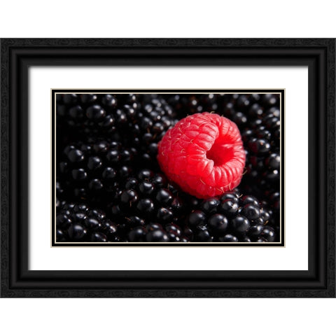 Berry different Black Ornate Wood Framed Art Print with Double Matting by Sokac, Drazen