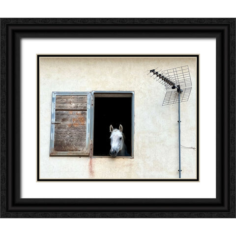 The window Black Ornate Wood Framed Art Print with Double Matting by Grifantini, Lorenzo