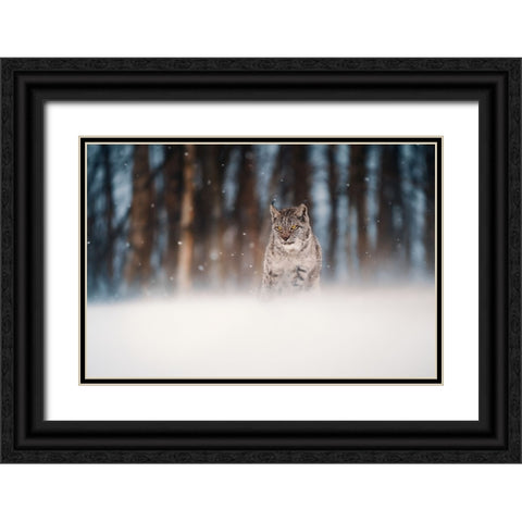 Amidst Snowstorm Black Ornate Wood Framed Art Print with Double Matting by Furch, Lukas