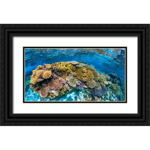 Panoreef Black Ornate Wood Framed Art Print with Double Matting by Gabriel, Barathieu