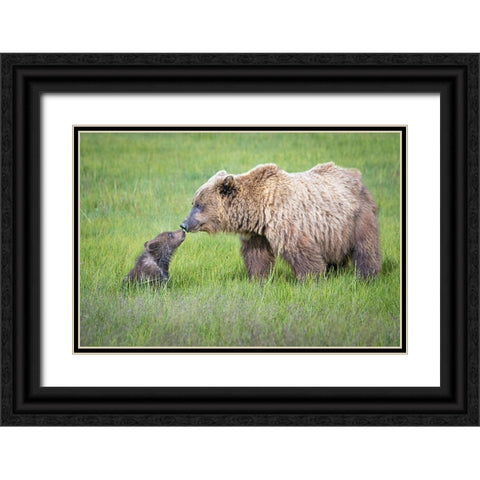 Not Seeing Eye To Eye.... Black Ornate Wood Framed Art Print with Double Matting by C. Sink, Jeffrey