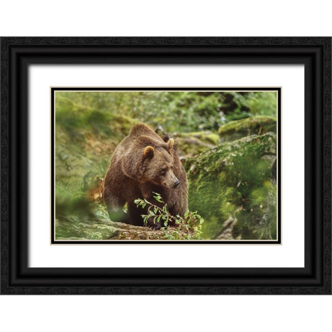 On A Trip... Black Ornate Wood Framed Art Print with Double Matting by Svestka, Jiri