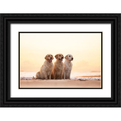 Golden Hour Black Ornate Wood Framed Art Print with Double Matting by Eeckloo, Valerie