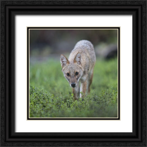 Untitled Black Ornate Wood Framed Art Print with Double Matting by Fruman, Yevgeny