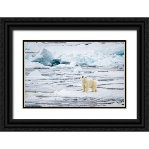 The Hunt - What Can I Smell? Black Ornate Wood Framed Art Print with Double Matting by Lewis-Bevan, Wyn