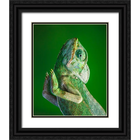 Praying! Black Ornate Wood Framed Art Print with Double Matting by Elkahlawi, Ahmed