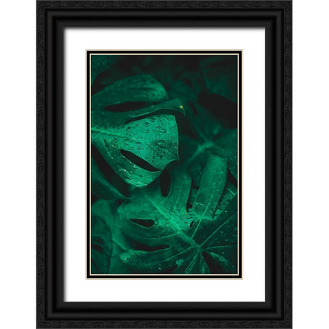 Green like life Black Ornate Wood Framed Art Print with Double Matting by Hamedani, Ardalan