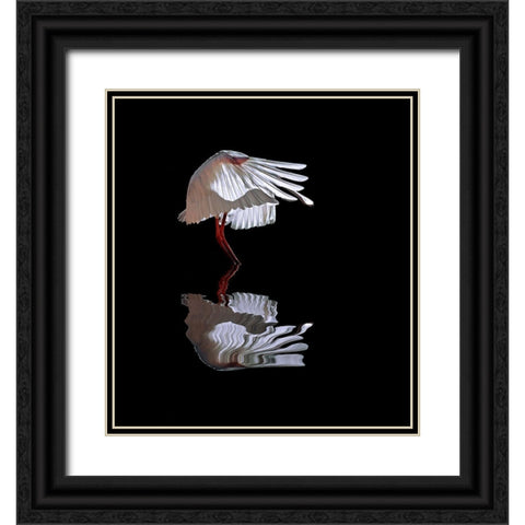 The Ave Black Ornate Wood Framed Art Print with Double Matting by Luis Duran, Juan