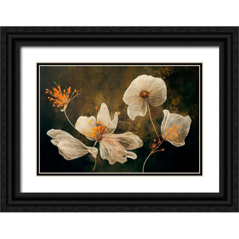 Transparent Flowers Black Ornate Wood Framed Art Print with Double Matting by Treechild