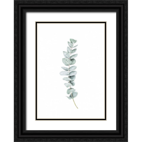 Eucalyptus II Black Ornate Wood Framed Art Print with Double Matting by Pienaar, Kathrin