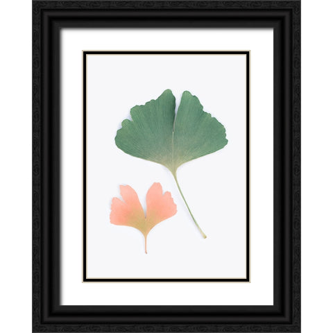 Pastel Ginkgo Black Ornate Wood Framed Art Print with Double Matting by Pienaar, Kathrin