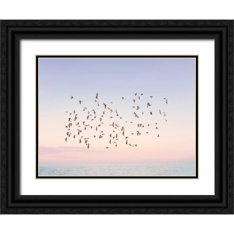 Sunset Flight Black Ornate Wood Framed Art Print with Double Matting by Pienaar, Kathrin