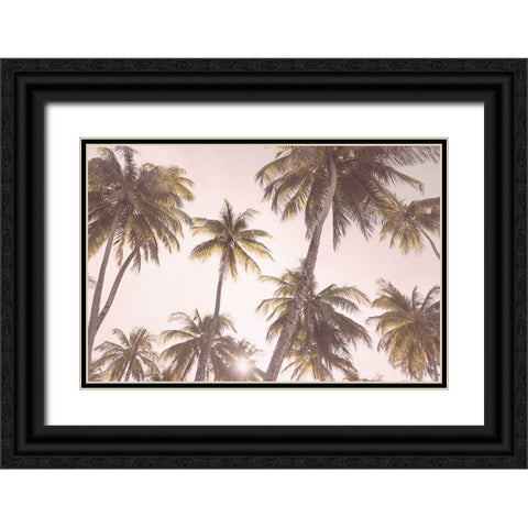 Blush Palm Trees Black Ornate Wood Framed Art Print with Double Matting by Pienaar, Kathrin